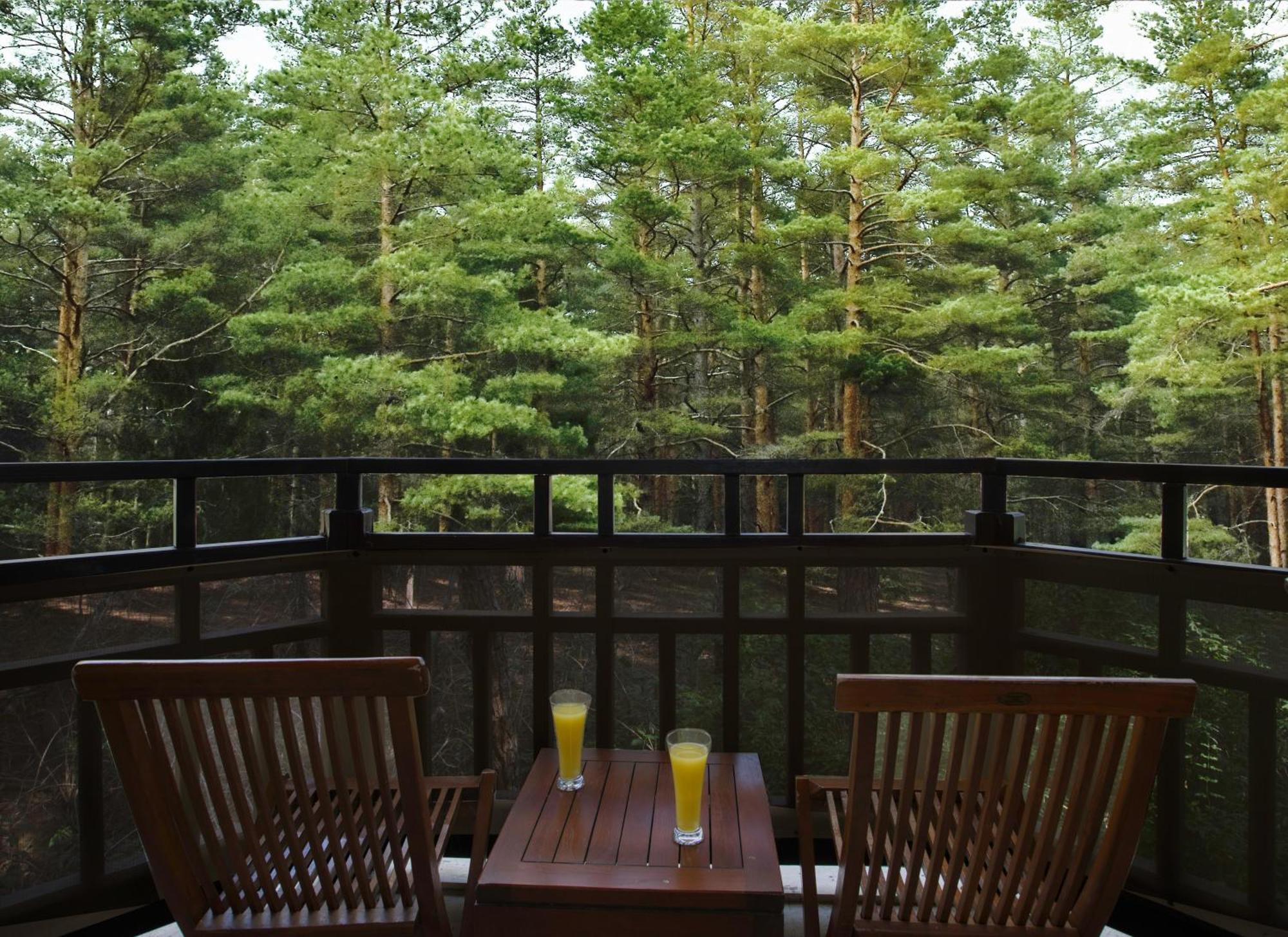 Asteria Family Resort Belek アンタルヤ エクステリア 写真 A view of the forest from the balcony of a guest room